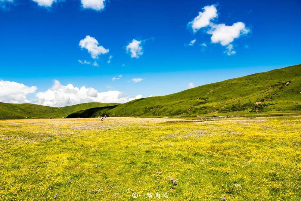 四川最美的草原 三天时间也走不完 景色优美游玩正当时