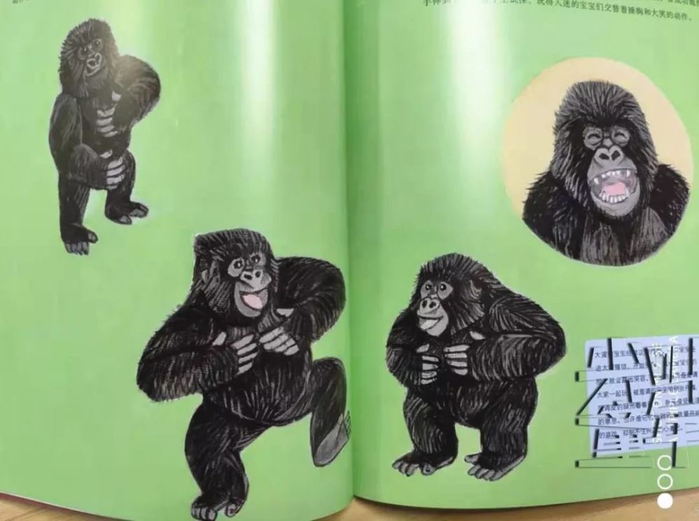 猩猩拍胸脯动画表情包图片