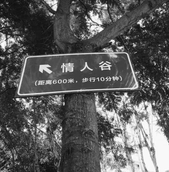 qq空间真人点赞10条(空间真人点赞10条怎么回事)