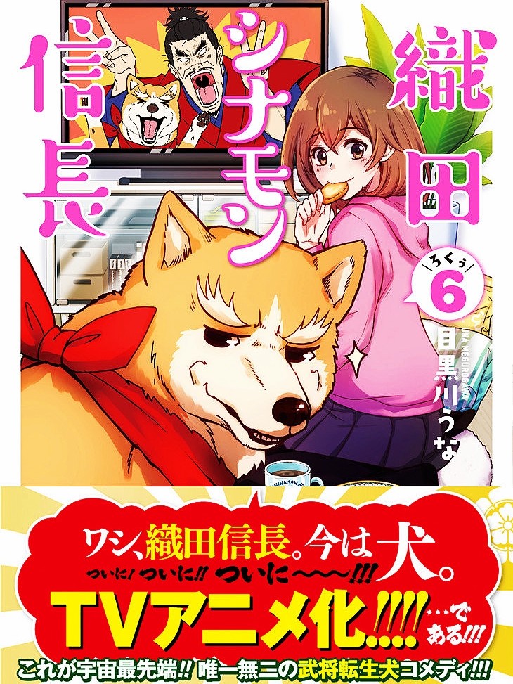 织田肉桂信长动画化决定!战国武将转生成狗狗,和小姐姐一起生活