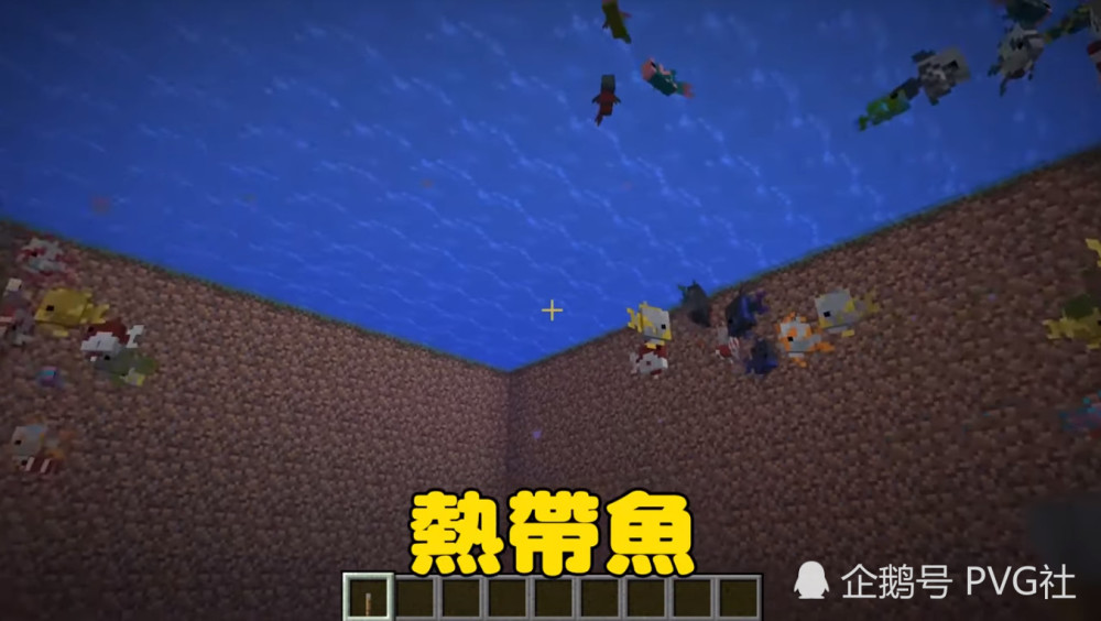 我的世界 猪的存在价值低 其实比猪更废柴的大有人在 没啥用处