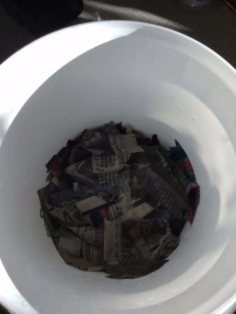 自制蚯蚓堆肥,在家里用垃圾桶就能做出来了