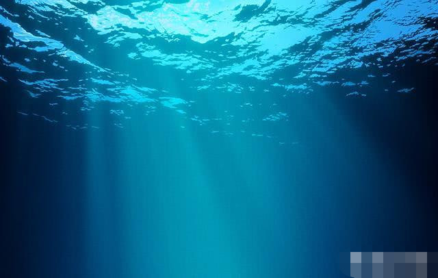 海底深处又会有什么呢?说出来你都不一定会相信?