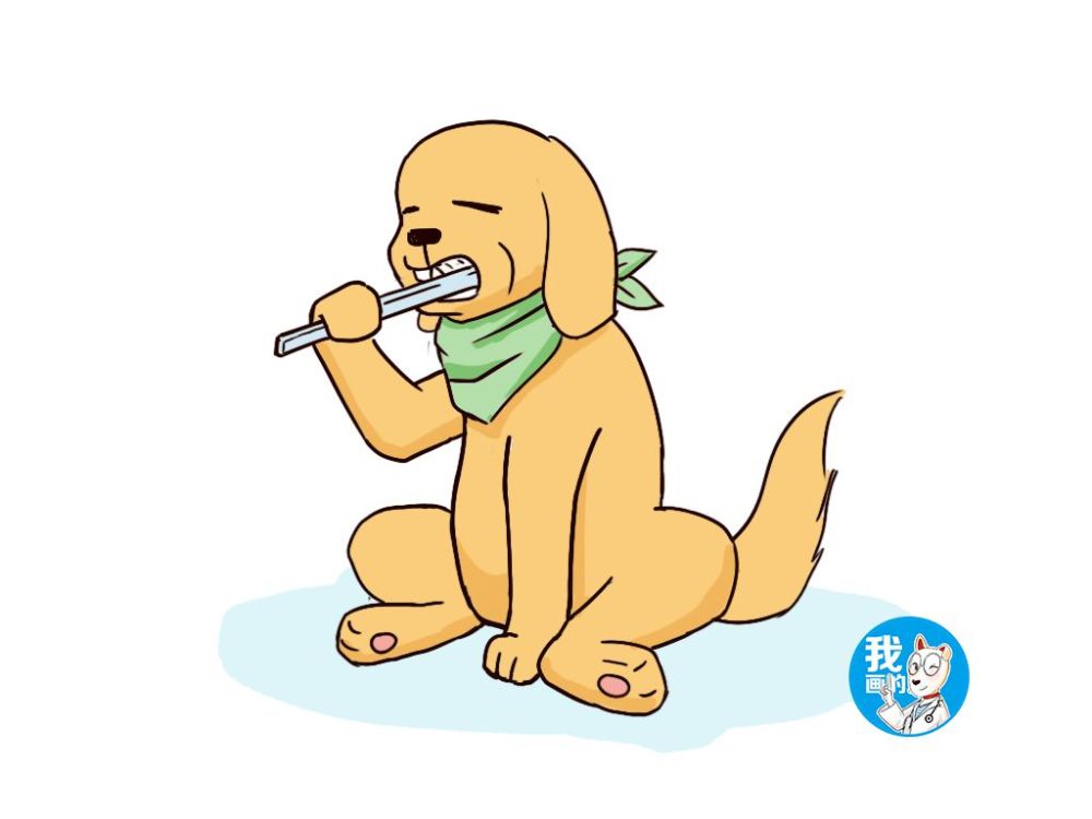 狗狗牙结石危害到底有多大,作为铲屎官的你真的知道吗?