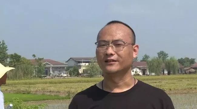 在常德汉寿县洋淘湖镇冲天村种粮大户肖金量的稻田里,一台无人驾驶的