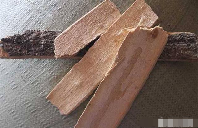 农村常见的香椿树皮有什么用途?可能多数人不知,不妨一看!