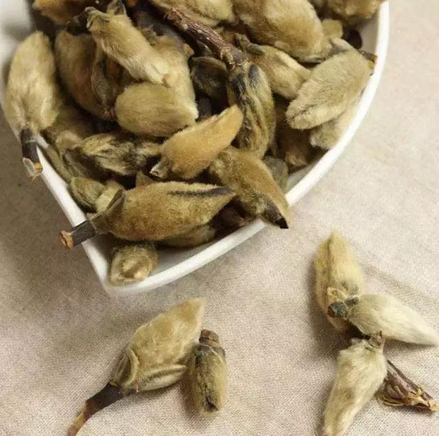 中药治鼻炎辛夷用处大这些药方拿走不谢