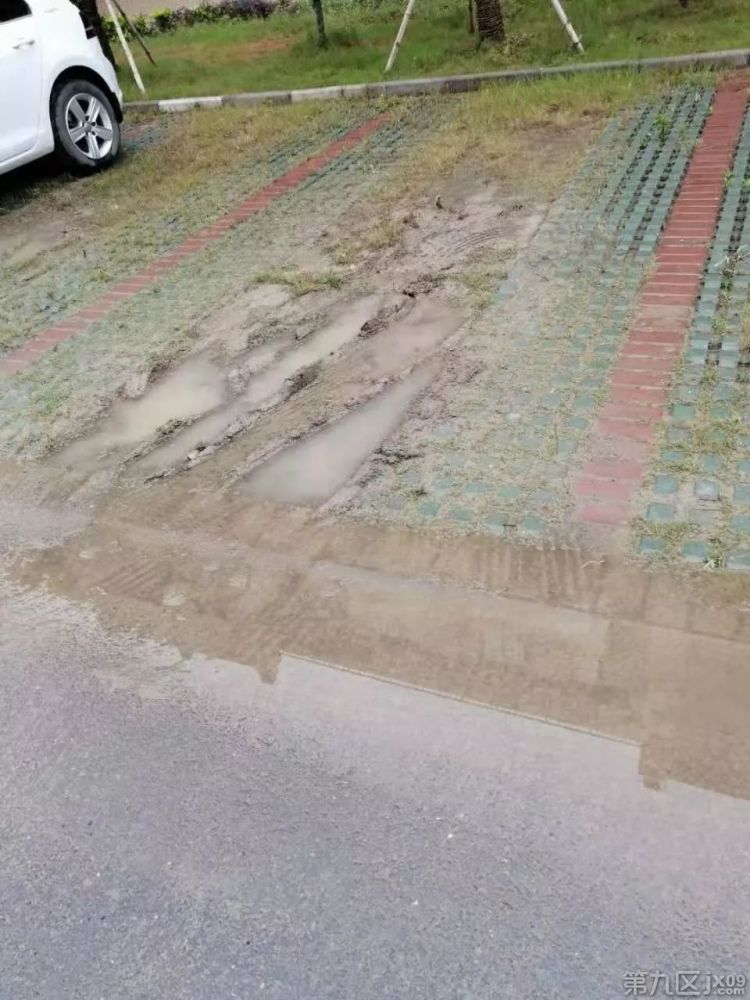 嘉兴某小区地下车库积水、电梯停运,生态车位