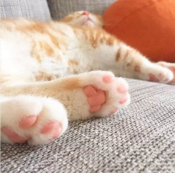 Y20超人的出现,击退了99%的细菌!