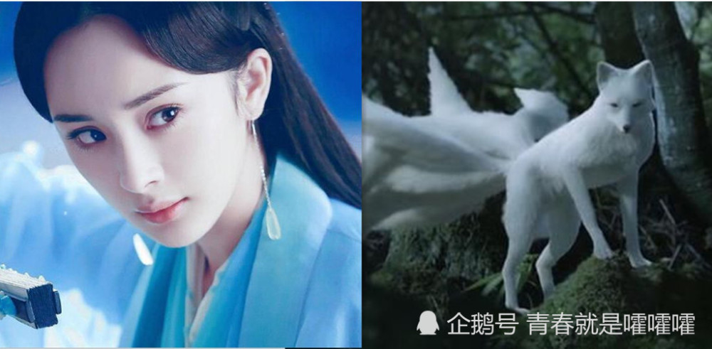 同是 变回真身 白浅vs白素贞vs锦觅 看到她 瞬间泪目