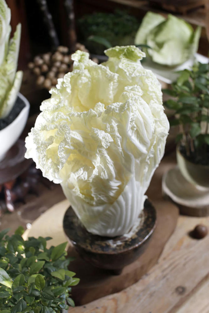 蔬菜除了放冰箱保存 也能成为家中的美丽盆栽