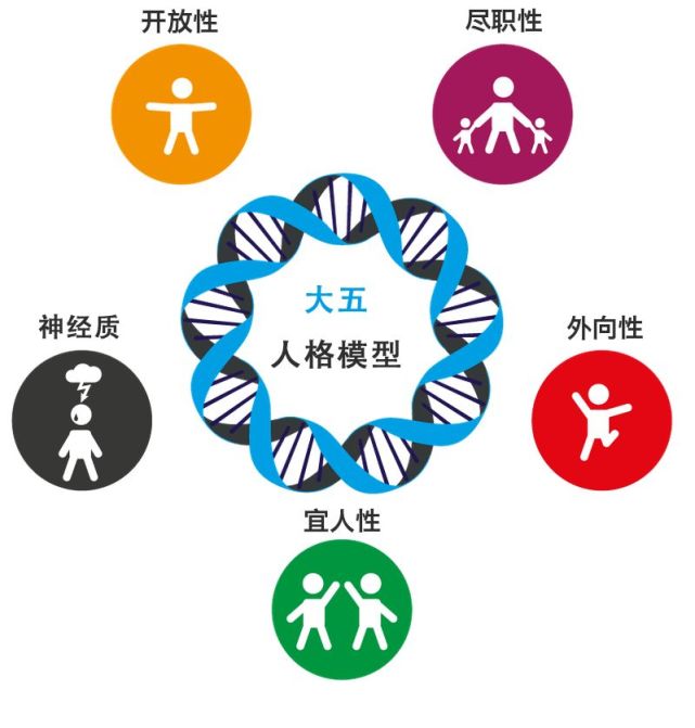 更让人信服,更加科学的人格理论是从1980年开始出现的,根据大五人格