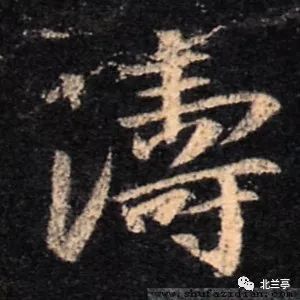 値引き中！セントラヴィ ノンエフエキスパート aasm.org.ar