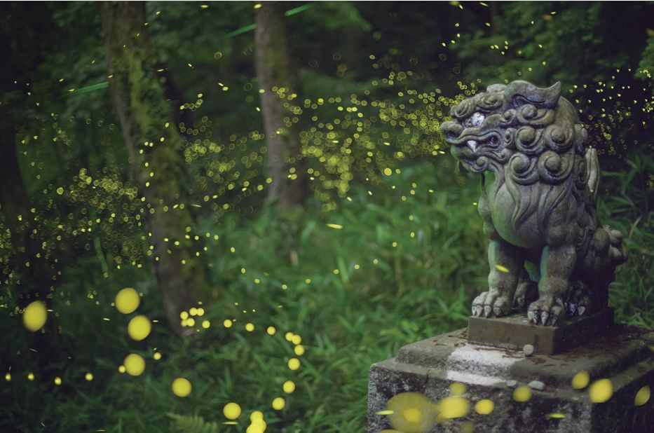 宋英杰|大暑：轻罗小扇扑流萤