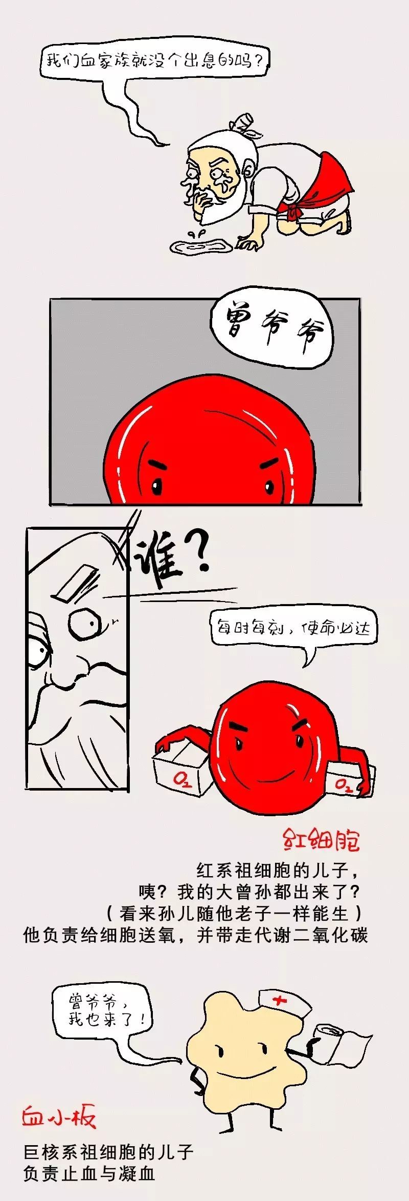 漫画 一篇漫画了解整个血液细胞家族