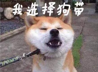 谐音梗,用得不好真的会扣钱