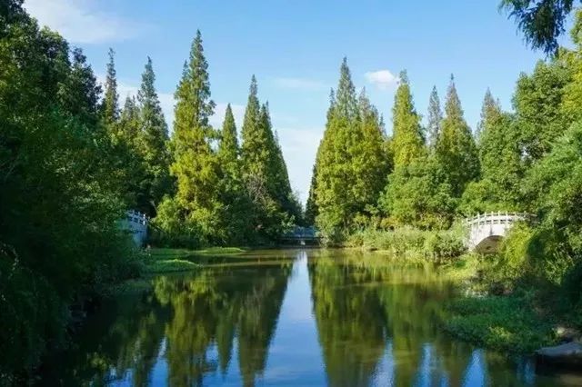 濱臨杭州灣畔,滬杭公路北側,與大海僅一步之遙,與海中的金山三島隔海