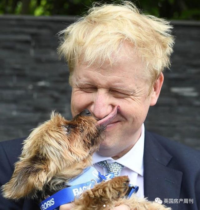 运动天赋的以及……鲍里斯,堂堂英国首相,一头飘逸金发,一脸表情包,能