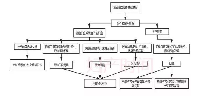 拥有两个子宫 能实现妈妈梦吗