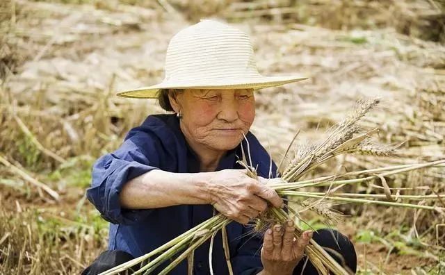 交了一辈子公粮的农民伯伯们都老了,不能再等了,请善待他们!