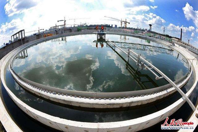 生物池作用和排放标准