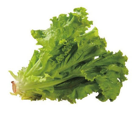 材料(2人份) 生菜,菊叶菜,芹菜,西蓝花……各50克 乳酪片……30克