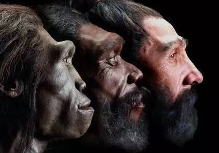人类起源 祖先到底是谁 是怎么进化的