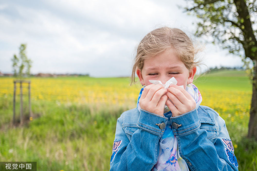 儿童过敏性鼻炎|儿童过敏性鼻炎高发期到来，抓紧做好三件事，烦恼一天天去除