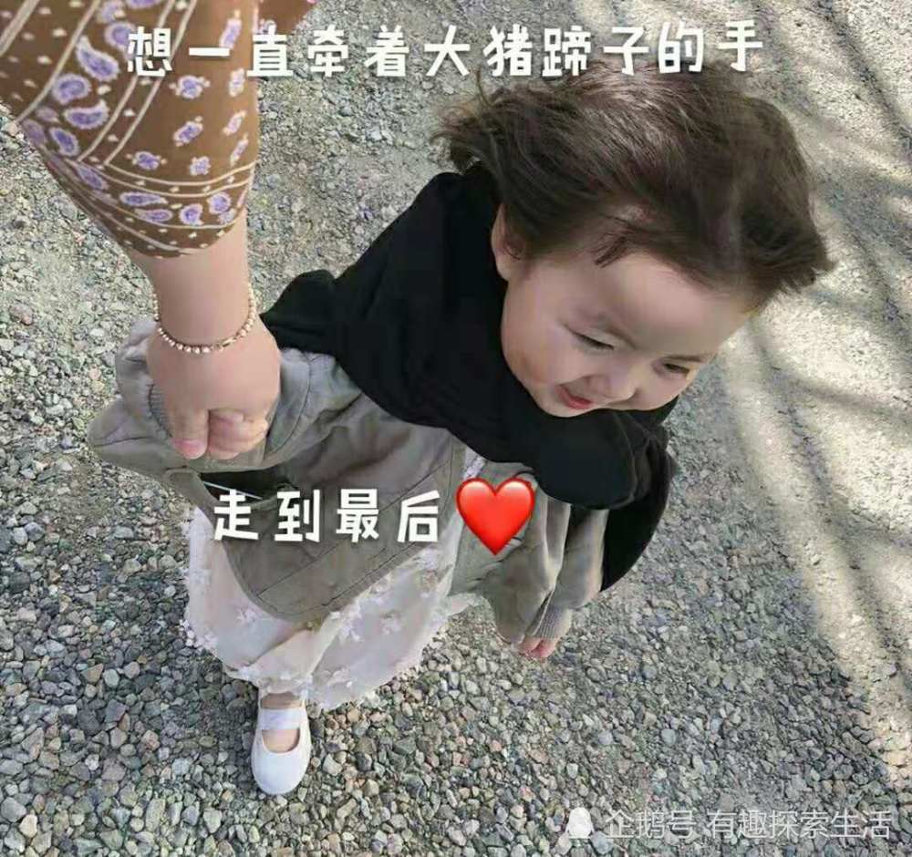 至尊·告白·表情包:想牵你的手,敬四方来宾的酒