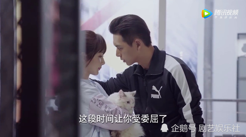 韩商言主动亲佟年,猫表情亮了!佟年反应太甜了