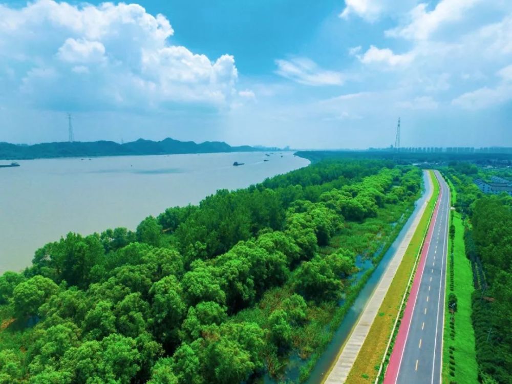 不出栖霞看世界,八卦洲你又美出了天际!