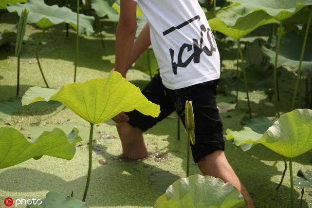 卖莲蓬救爸爸15岁少年为救重残父亲网上卖莲蓬筹医疗费