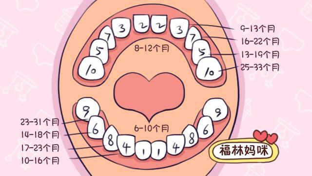 宝宝长牙的月龄和顺序是咋样的 你家宝宝长牙晚了吗