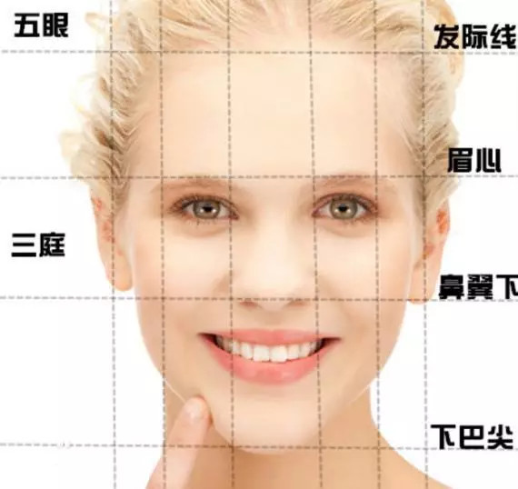 医学上讲究的标准美人 你达标几个