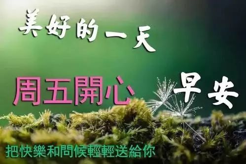 早上好今天星期五把最美的祝福送給你願你一天福氣滿滿順順利利