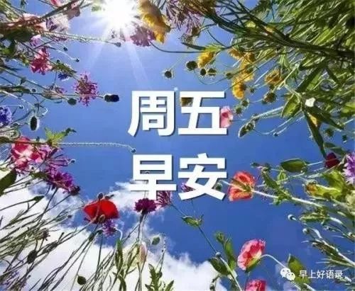 星期五最新群发早上好问候表情早安图片 2022特别漂亮清晨问候动态
