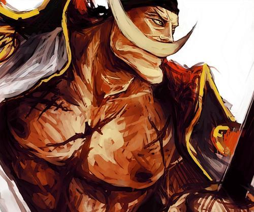 海贼王 四皇和海军大将明明是同等级的强者 为何还那么多皇吹