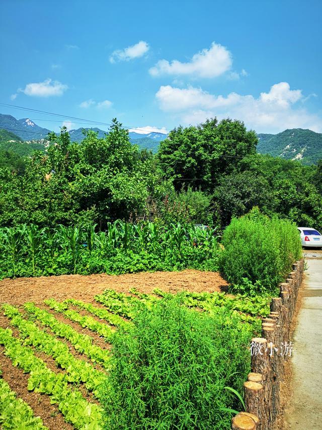 青山碧水云满天,农家避暑乐陶陶-暑期美丽西沟村之二