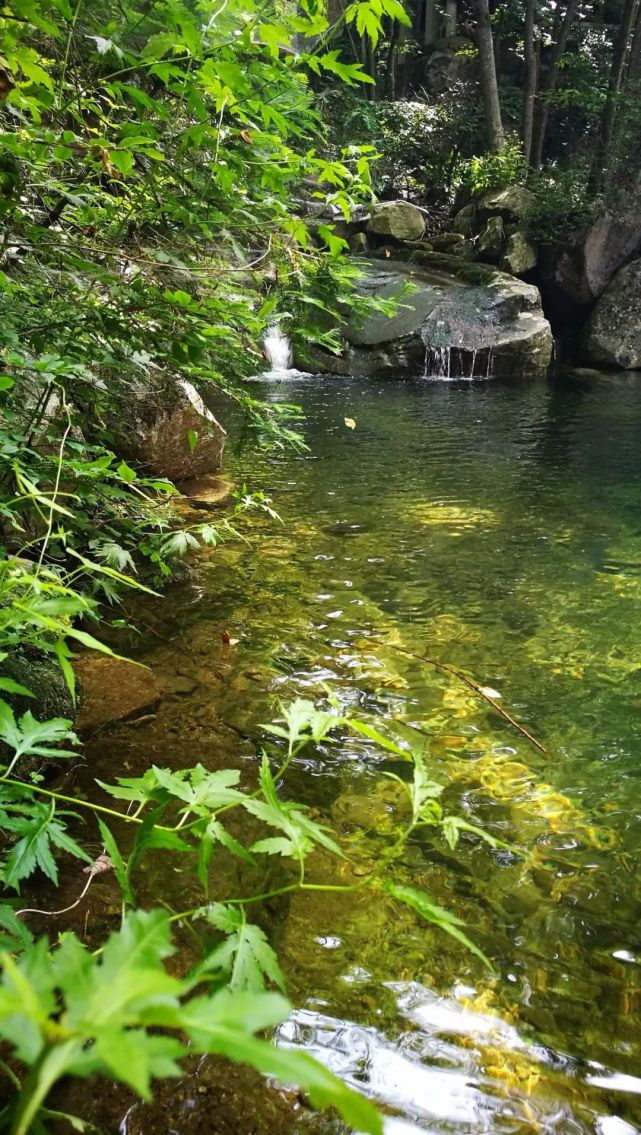 消夏露营+避暑音乐节+美拍大赛来袭！西峡将开启你的盛夏之旅！！