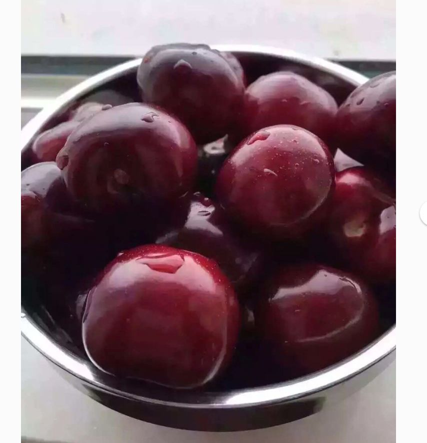 |山东人表达对世人的爱，一个重要的尺度就是，要够大！