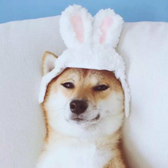 情侣头像:一切从头开始,做个不一样的小可爱,比心!