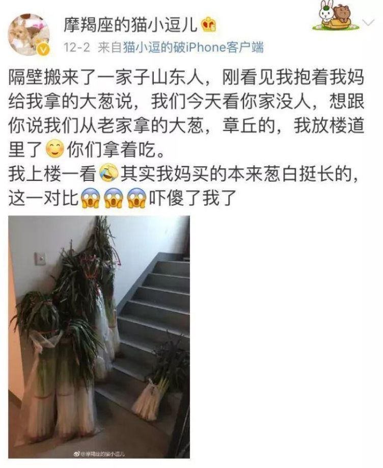 |山东人表达对世人的爱，一个重要的尺度就是，要够大！