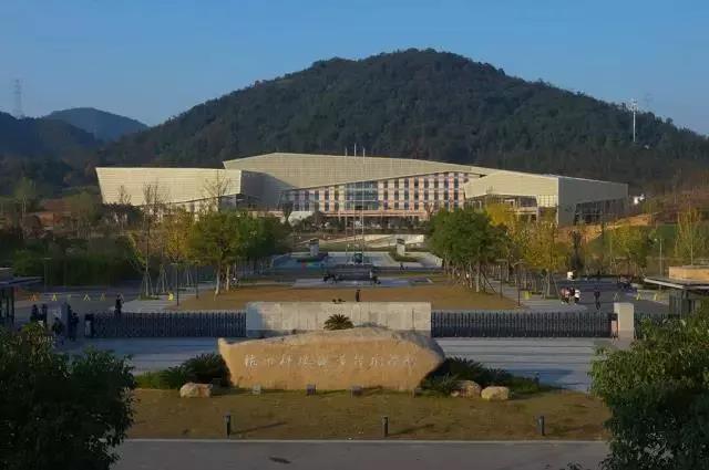 元宵节免费午餐大排活动价2元块还不快来杭科院吃饭