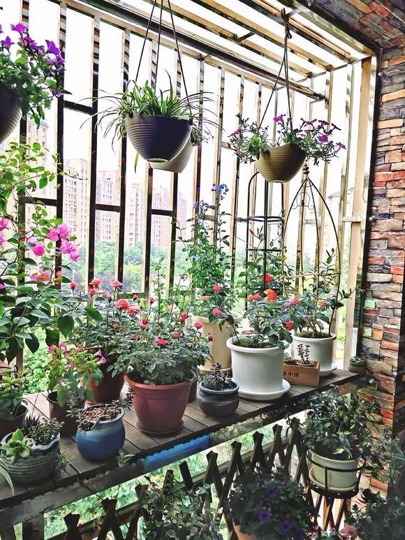 仅用20天他把封闭的阳台改成开放式种满了花草比花园还好看