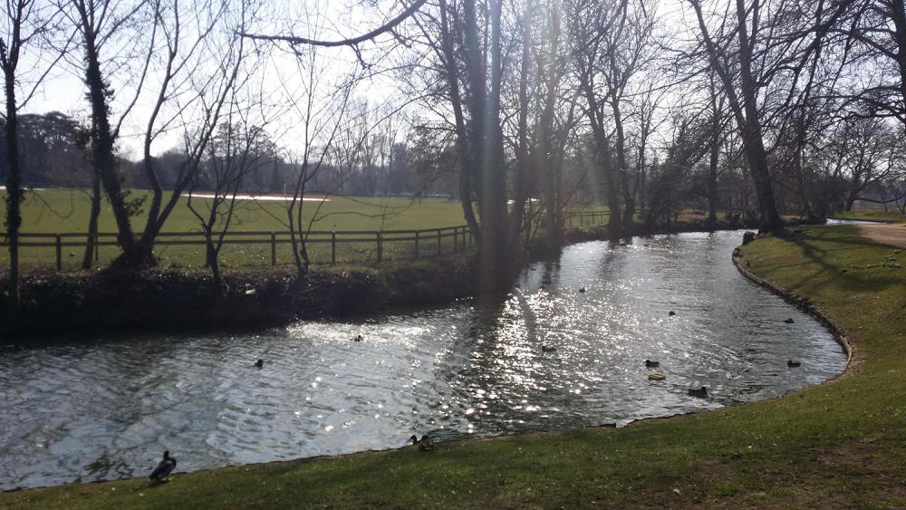 纽卡斯尔大学怎么样,英国纽卡斯尔大学怎么样