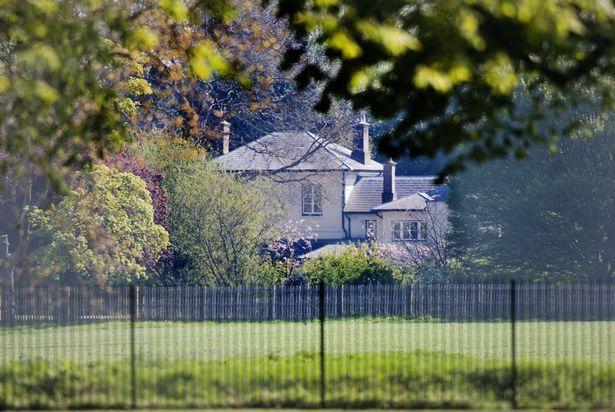 梅根·马克尔|英国王室御用摄影师：哈里王子变坏了，都是老婆梅根教的