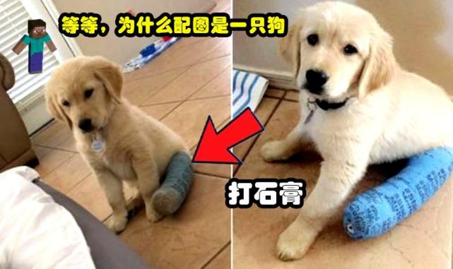 我的世界:13个在mc经常干的事,但在现实中可能会带来伤害