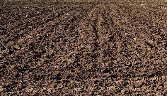 土壤有哪些类型 为什么说土壤要求达到了养护植物就成功了一半