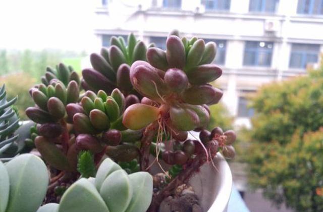 腾讯内容开放平台