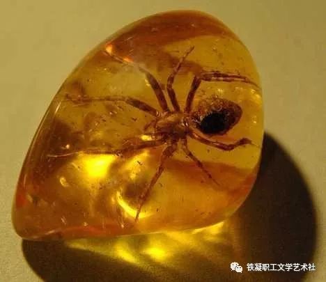 刘靖华/化为琥珀 ,只为等你(诗歌)